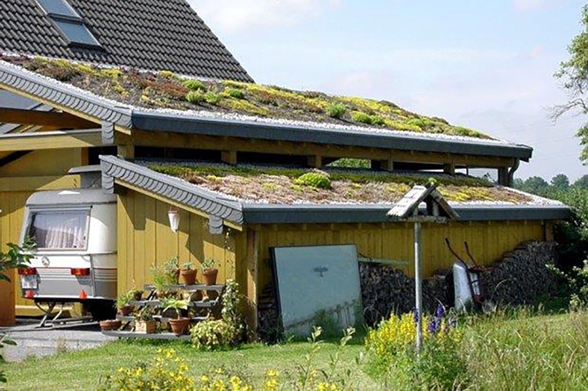 Extensiv begrüntes Carportdach mit Dachneigung (Quelle: Arnolds Bedachung Neukirchen)